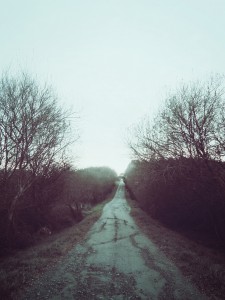 2015-06-Life-of-Pix-free-stock-photos-road-trees-winter-santalla